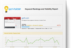 Keyword Rankings and Visibility