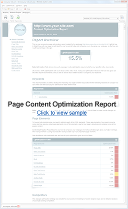 Page Optimization Audit Report