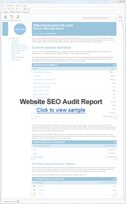 Website Structure Audit Report