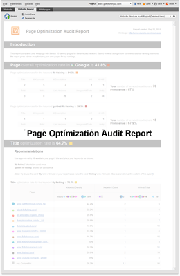 Page Optimiation Audit Report