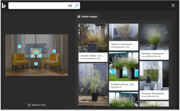 What is visual search and how to optimize for it