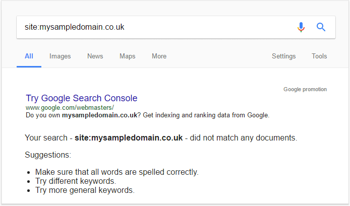 Site search does not find any pages indexed on Google