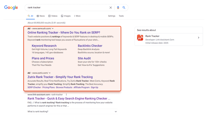 Paid Advertising in SERPs