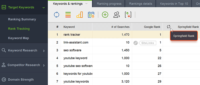 After you add a new custom search engine, hit the Check rankings button