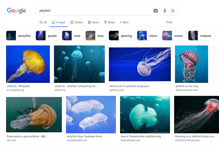 Google 画像にラベルが表示され、LSI キーワードを見つけるための最も近いツール