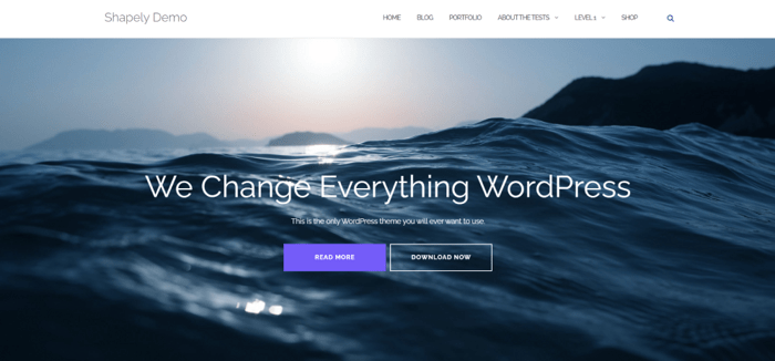 Shapely WP theme