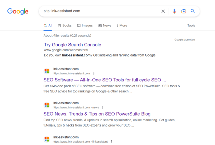 Site search operator returns all URLs that Google finds on your website