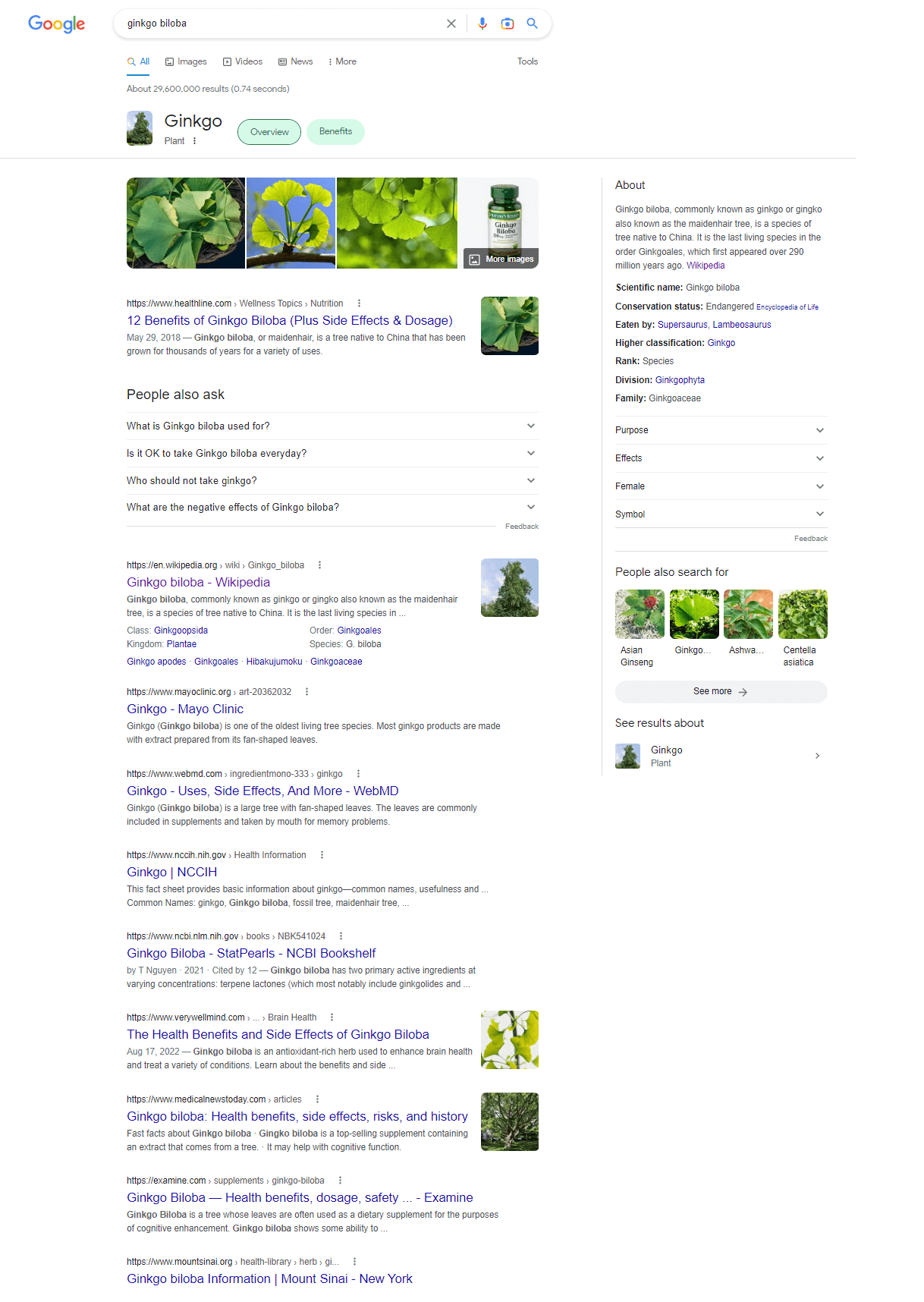 SERP example