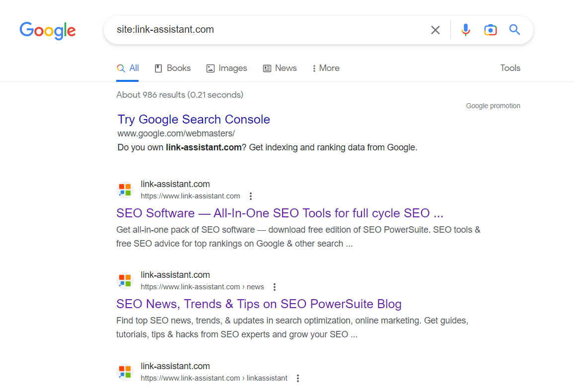 All Website's Pages Are Indexed But Only Showing Home Page - Google Search  Central Community