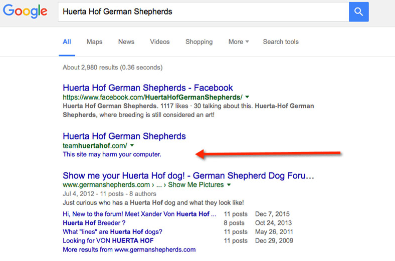 This site may harm your computer message in Google SERP